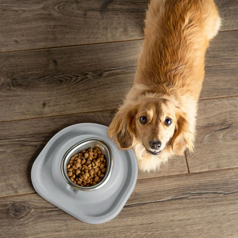 No Spill Silicone Non-Slip Dog Bowl - Perfect for Messy Eaters, Travel & Outdoor Use