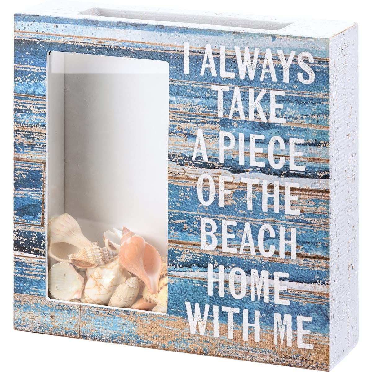 Primitives by Kathy Beach Shell Holder - Decorative Seashell Display for Coastal Home Décor | Perfect for Beach House, Bathroom, or Living Room Decor