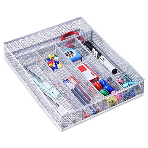 Silver-5 Compartments