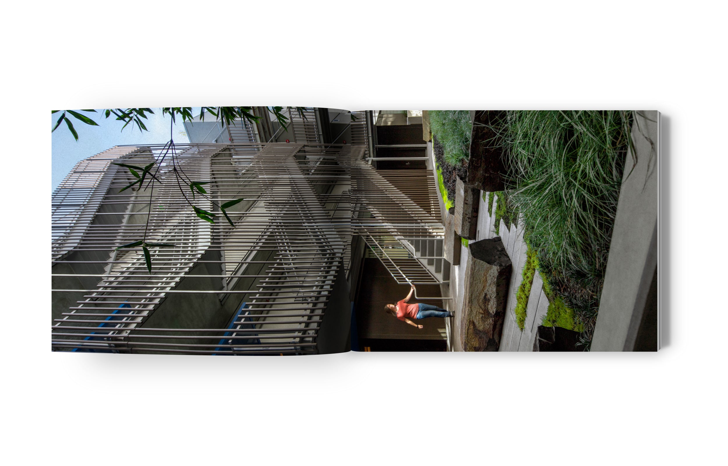 Fougeron Architecture: Framing Light - Modern Home Design & Natural Lighting Solutions for Living Rooms & Offices