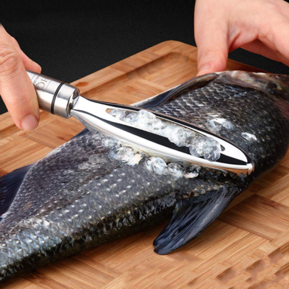 Stainless Steel Fish Scale Remover Tool - Efficient Fish Descaler & Scraper for Kitchen - Easy to Clean Fish Scales - Perfect for Home Cooking, Fishing, and Seafood Preparation