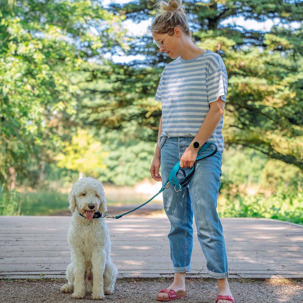 Preno Mesh Training Leash for Dogs - 200 cm (6.5 ft) Long, 20-25 mm Wide, Durable Gray Reflective Leash - Perfect for Walking, Running, and Obedience Training with Pets