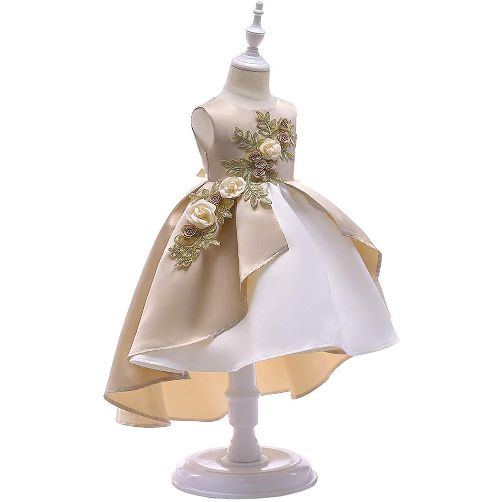 Princess Party Dress for Girls 2-3 Years Old - Elegant Formal Baby Girl Dress for Birthday, Wedding & Special Occasions
