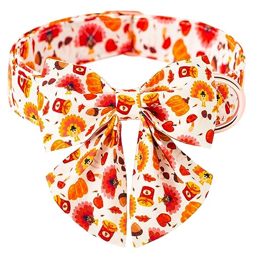 Thanksgiving Collar - Tail
