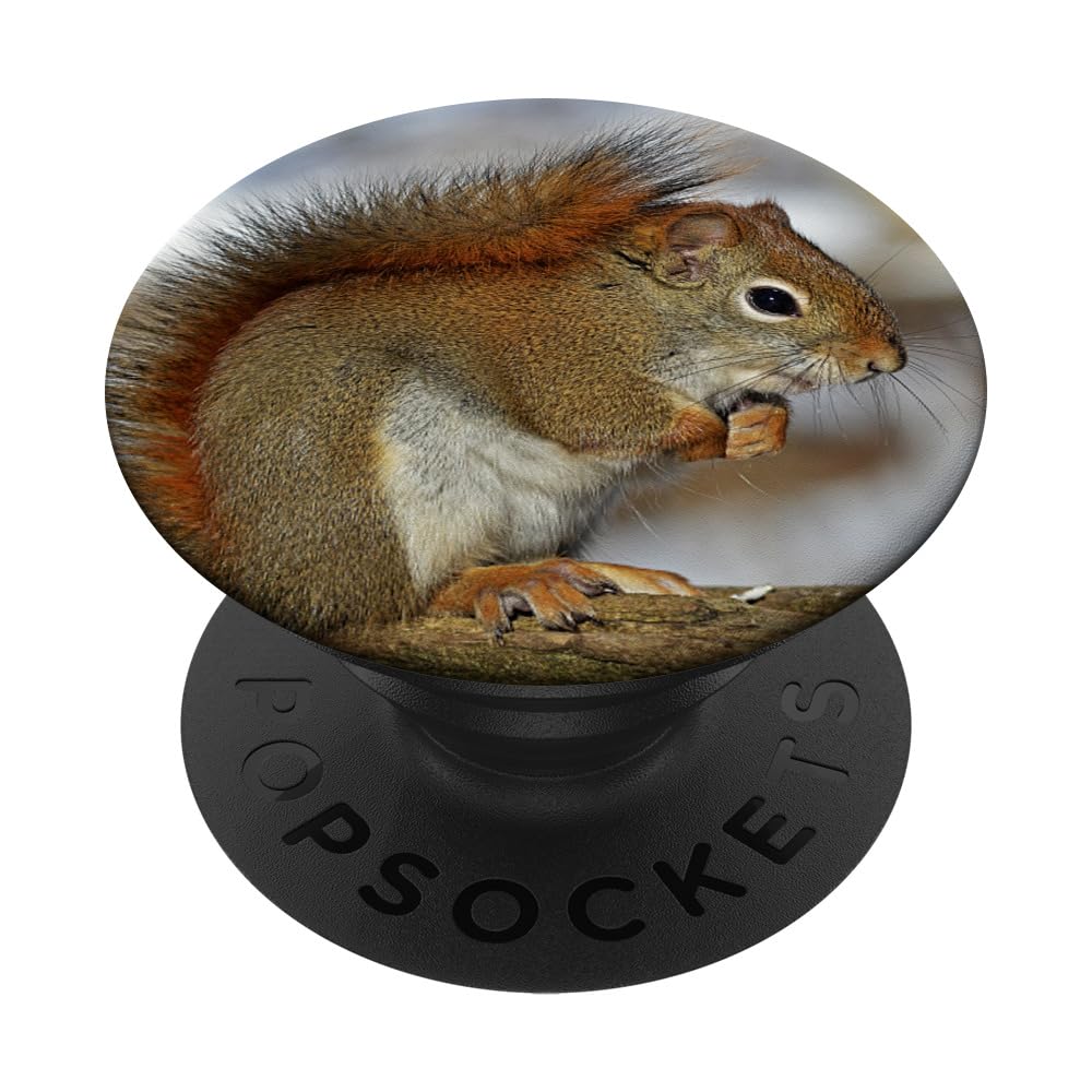 Cute Squirrel Design PopSockets Standard PopGrip - Phone Grip & Stand for iPhone, Samsung & Smartphones - Perfect for Daily Use, Commuting & Hands-Free Viewing