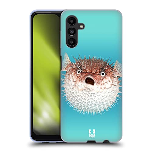 Frontal View Of Porcupinefish