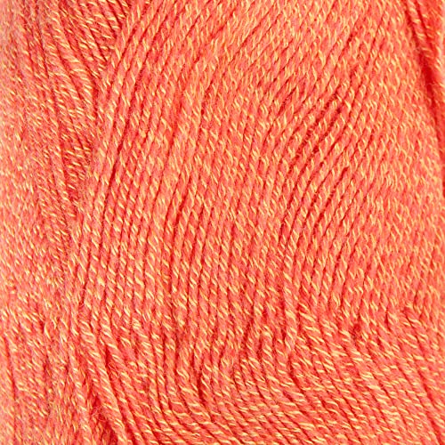 9913 Apricot