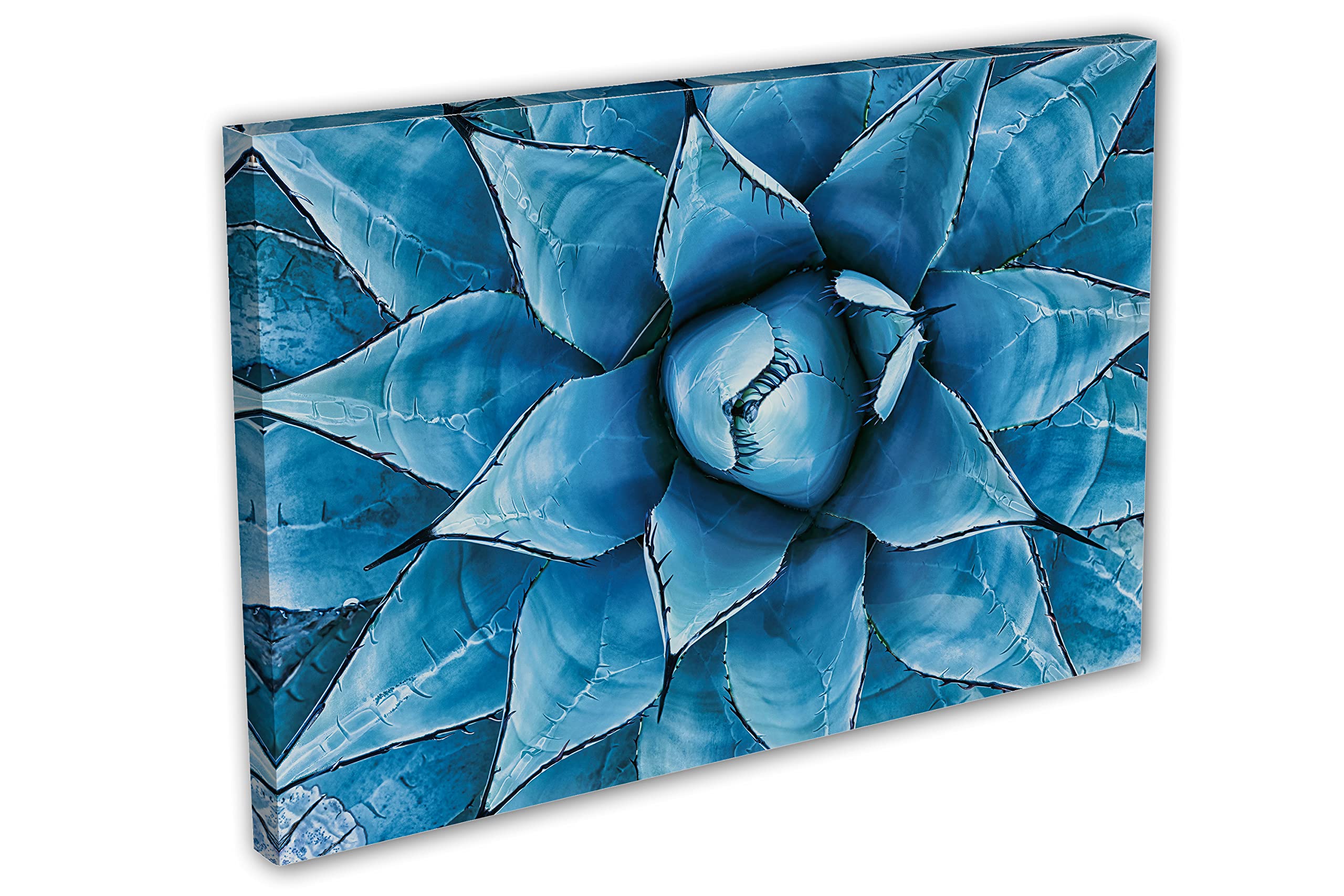 54 x 36 Blue Agave Canvas Print Wall Art - Botanical Home Decor for Living Room, Bedroom & Office | Agave Plant Painting for Modern Interior Design