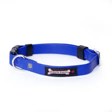 Smoochy Poochy Quick Release Dog Collar with Polyvinyl Clip - Adjustable & Durable Pet Collars for Small Medium Large Dogs - Perfect for Walking, Training & Outdoor Adventures (Multiple Colors)