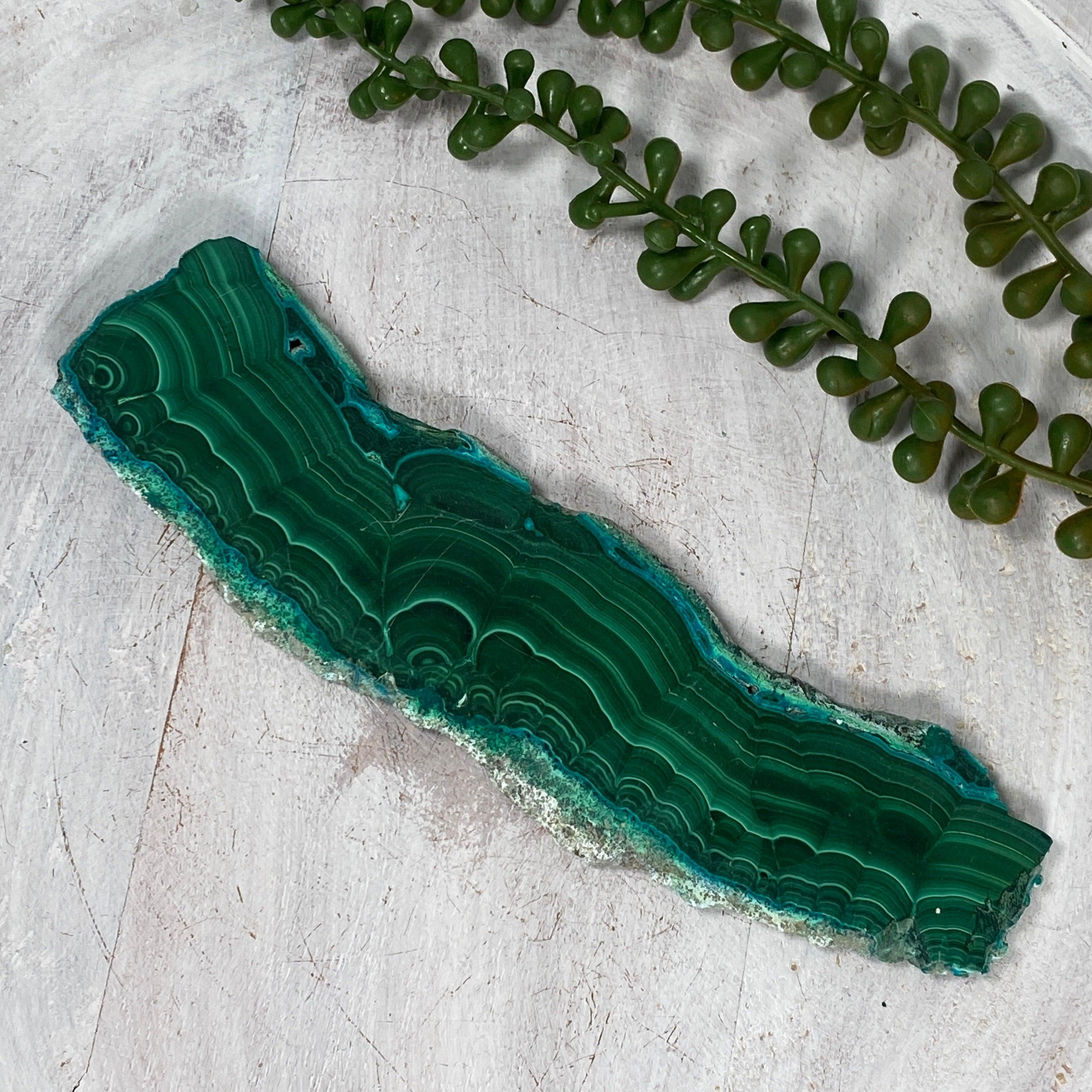 Natural Malachite and Chrysocolla Slice CR3538 - Healing Crystal for Meditation, Home Decor, and Jewelry Making