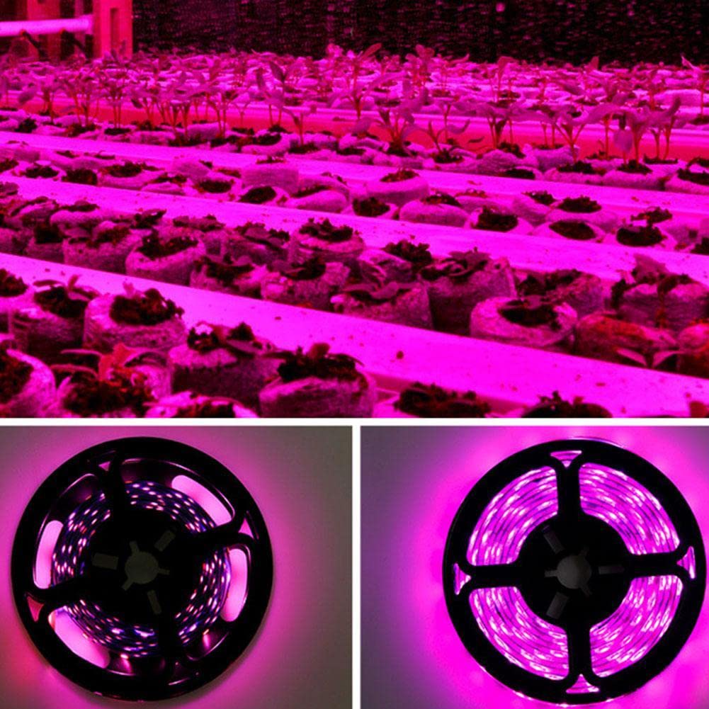 **5V USB LED Plant Grow Light Strips - Full Spectrum Waterproof Indoor Grow Lamp for Hydroponics, Succulents, Vegetables & Flowers - 0.5m Light Bar - Perfect for Home Gardening & Indoor Plant Growth**