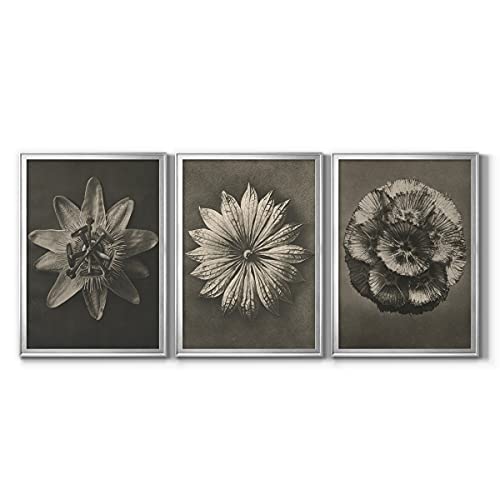 Art S2538-3SS