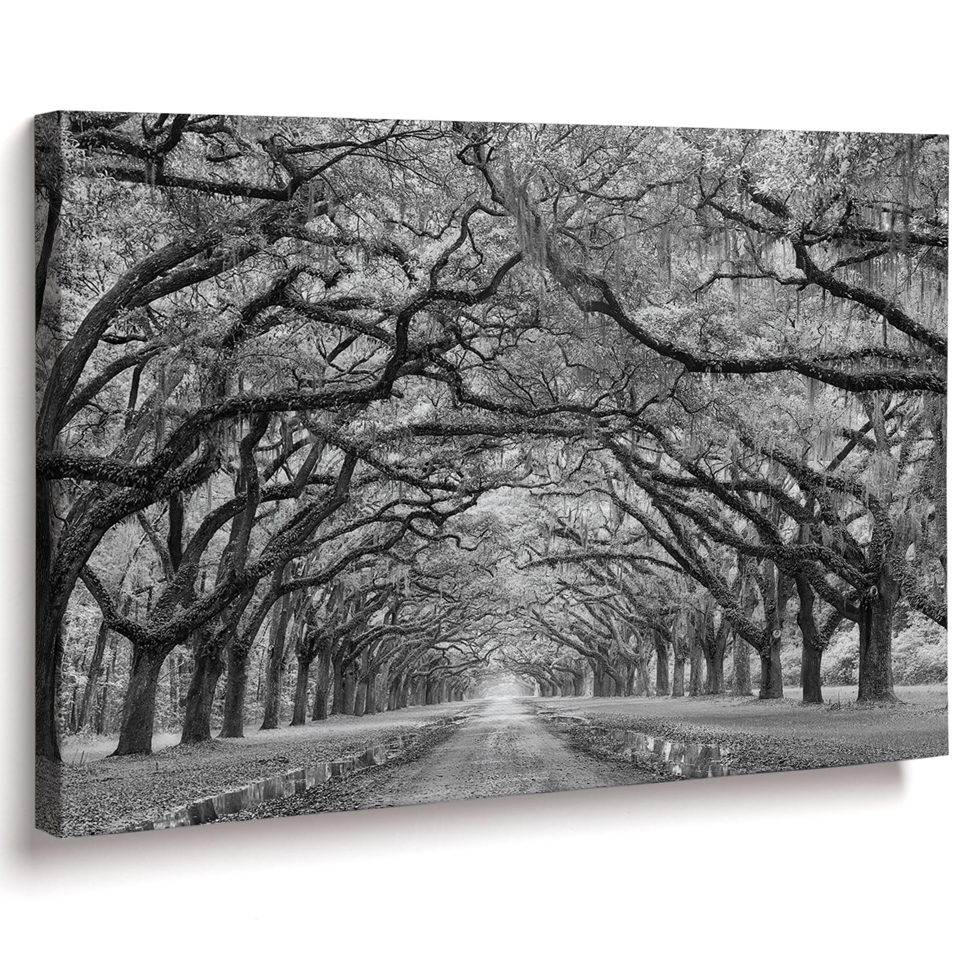 Large Fine Art Canvas Wall Decor - 32x24 Inches Black & White Landscape Painting by Moises Levy for Bedroom & Living Room | Modern Home Decor, Office Art, Gift Idea