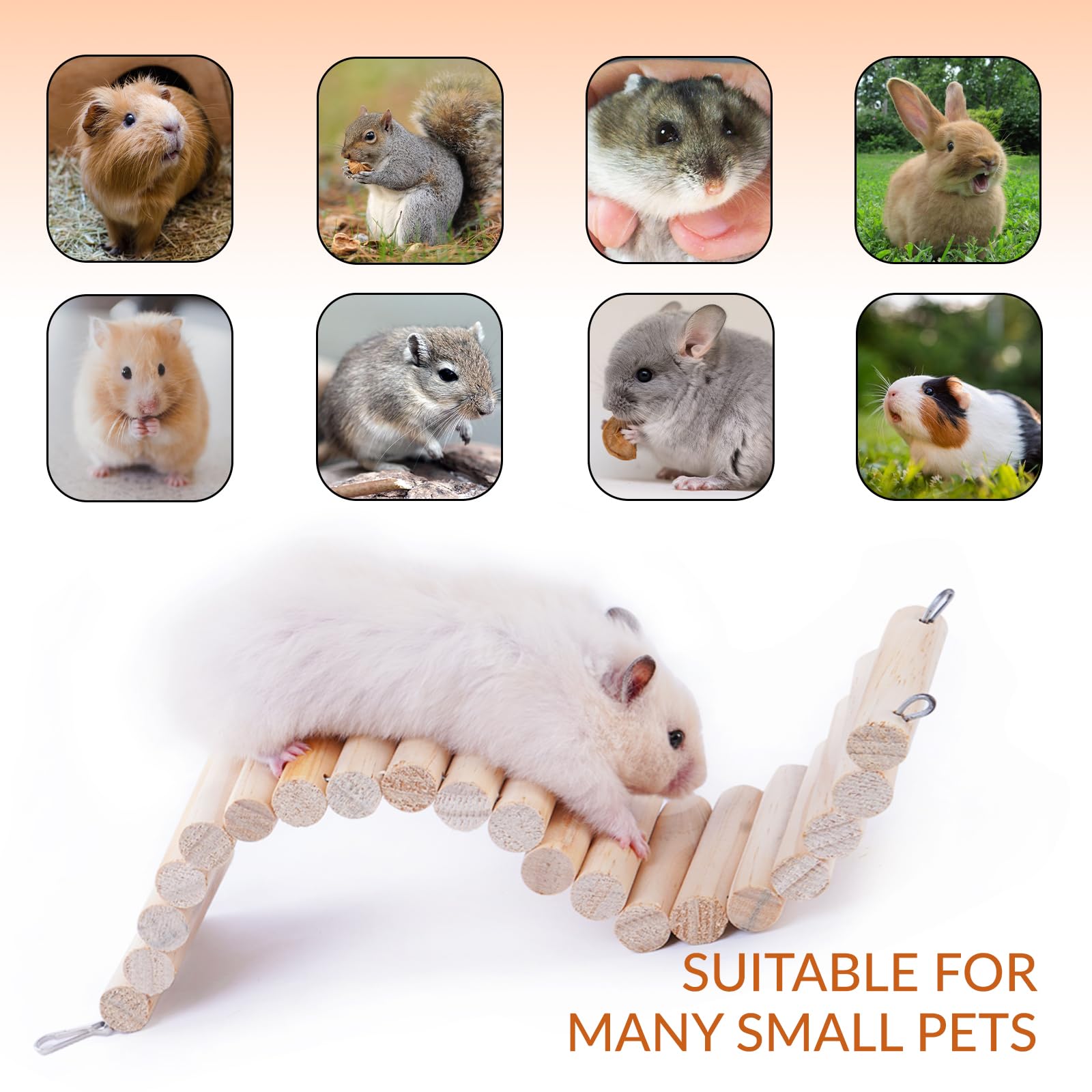 23-Piece Small Animal Toys Set for Hamsters, Guinea Pigs, Rats & Gerbils - Chew Toys, Ladder, Seesaw, Swing, Apple Stick & Bridge - Fun Cage Accessories for Playtime & Exercise