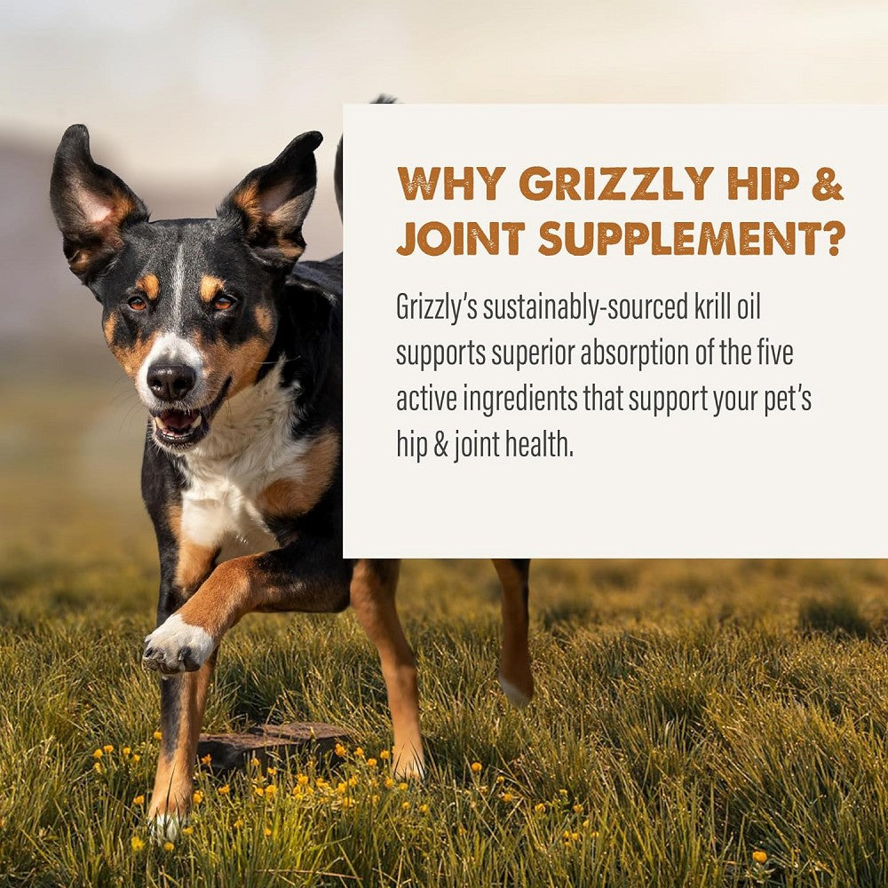 Premium Hip & Joint Oil Supplement for Dogs & Cats - Supports Mobility & Joint Health - Ideal for Senior Pets & Active Animals - Perfect for Daily Use & Post-Exercise Recovery
