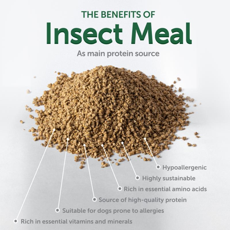 Natural Protein Dog Treats for Adult Dogs - Dental Chews with Insects for Oral Care - Perfect for Training, Rewards & Teeth Cleaning