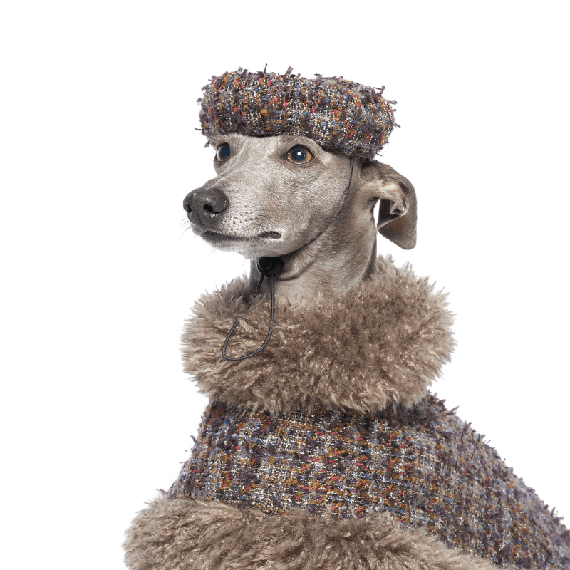 Stylish Jupiter Dog Beret - Fashionable Pet Hat for Small & Medium Dogs - Perfect for Photos, Parties & Outdoor Adventures
