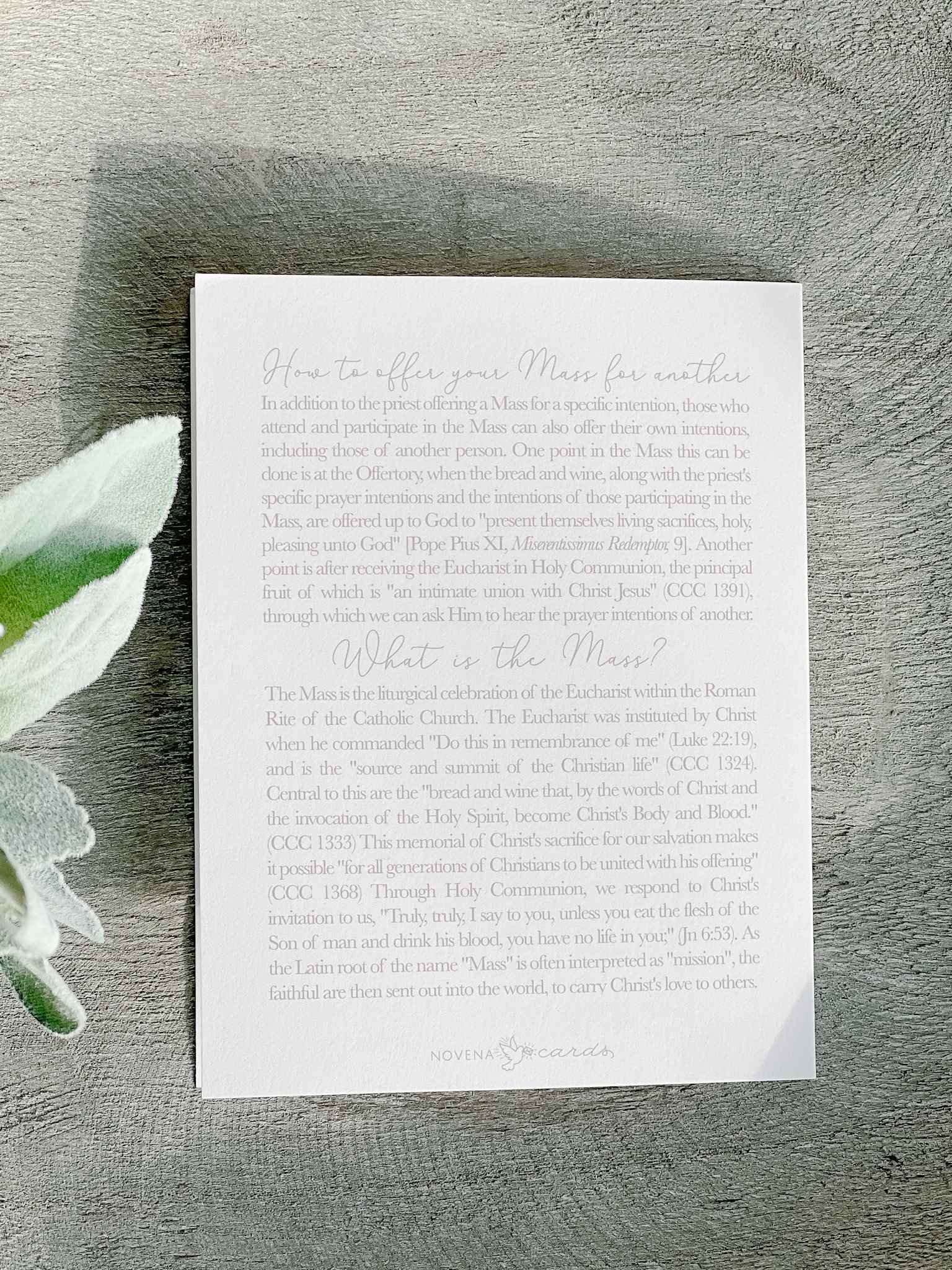 I Prayed For You at Mass Card - Set of 4 Religious Greeting Cards for Catholic Prayer & Encouragement - Perfect for Church, Baptism, First Communion & Sympathy Gifts