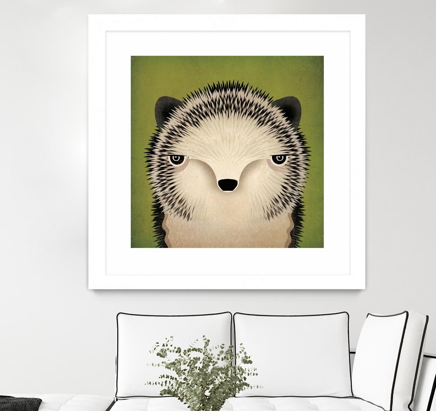 Adorable Baby Hedgehog Pet - Live Hedgehog for Sale | Perfect for Exotic Pet Lovers & Small Animal Enthusiasts | Great for Home Companionship & Educational Pets