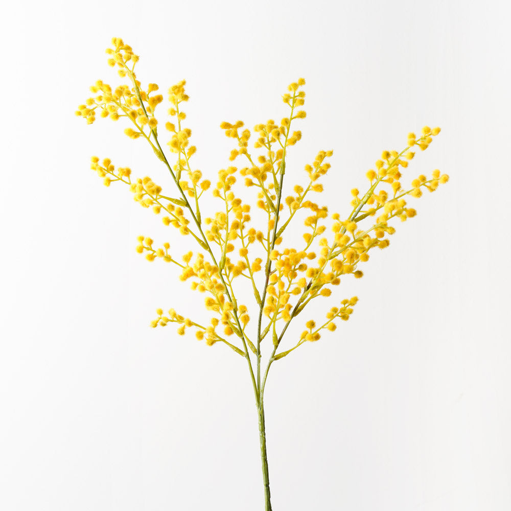 Wattle Yellow - Bright and Cheerful Home Decor for Living Room, Bedroom, or Office | Perfect for Accent Walls and DIY Projects