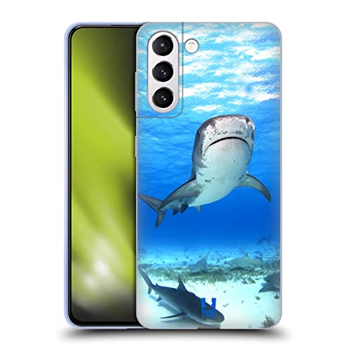 Tiger Shark