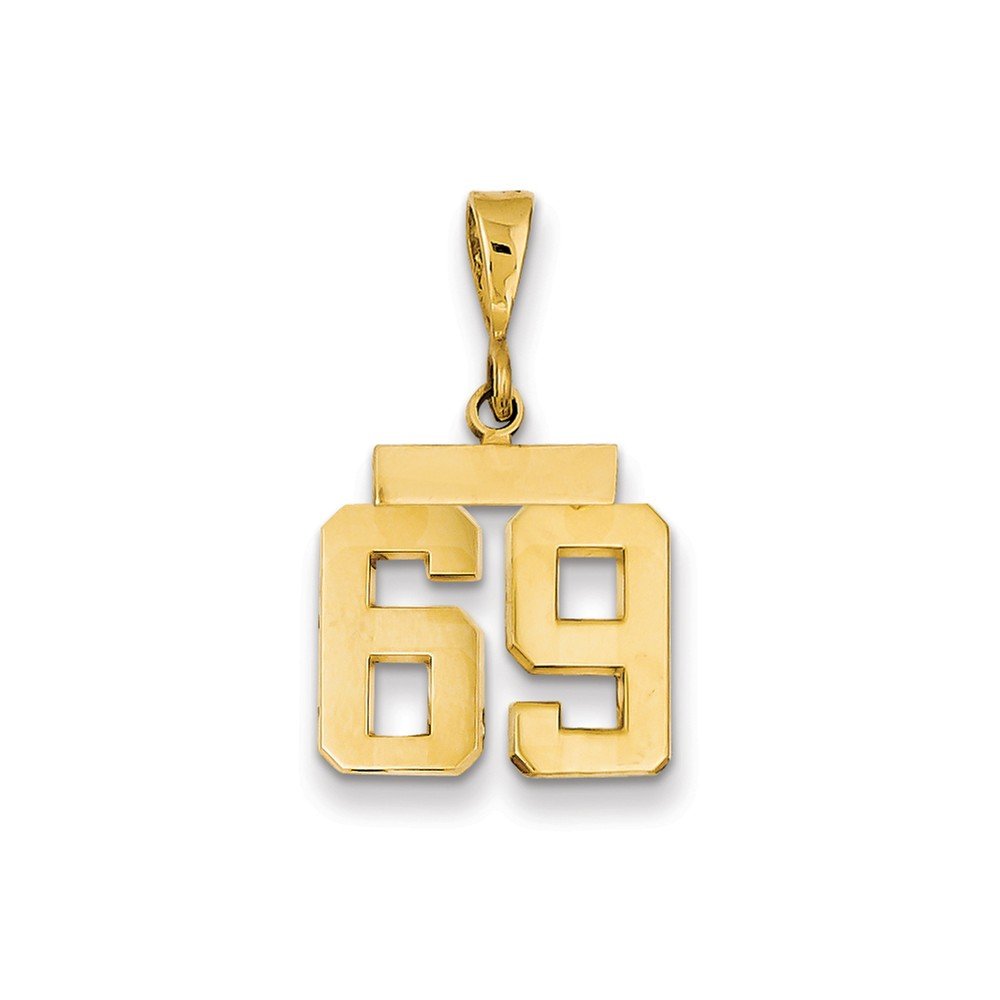 14K Solid Yellow Gold Number 69 Charm Pendant - Small Elegant Jewelry for Birthdays, Anniversaries & Special Occasions