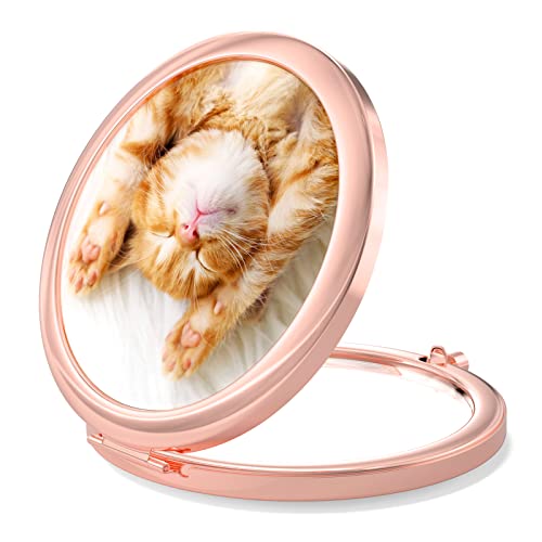 Cute Cat