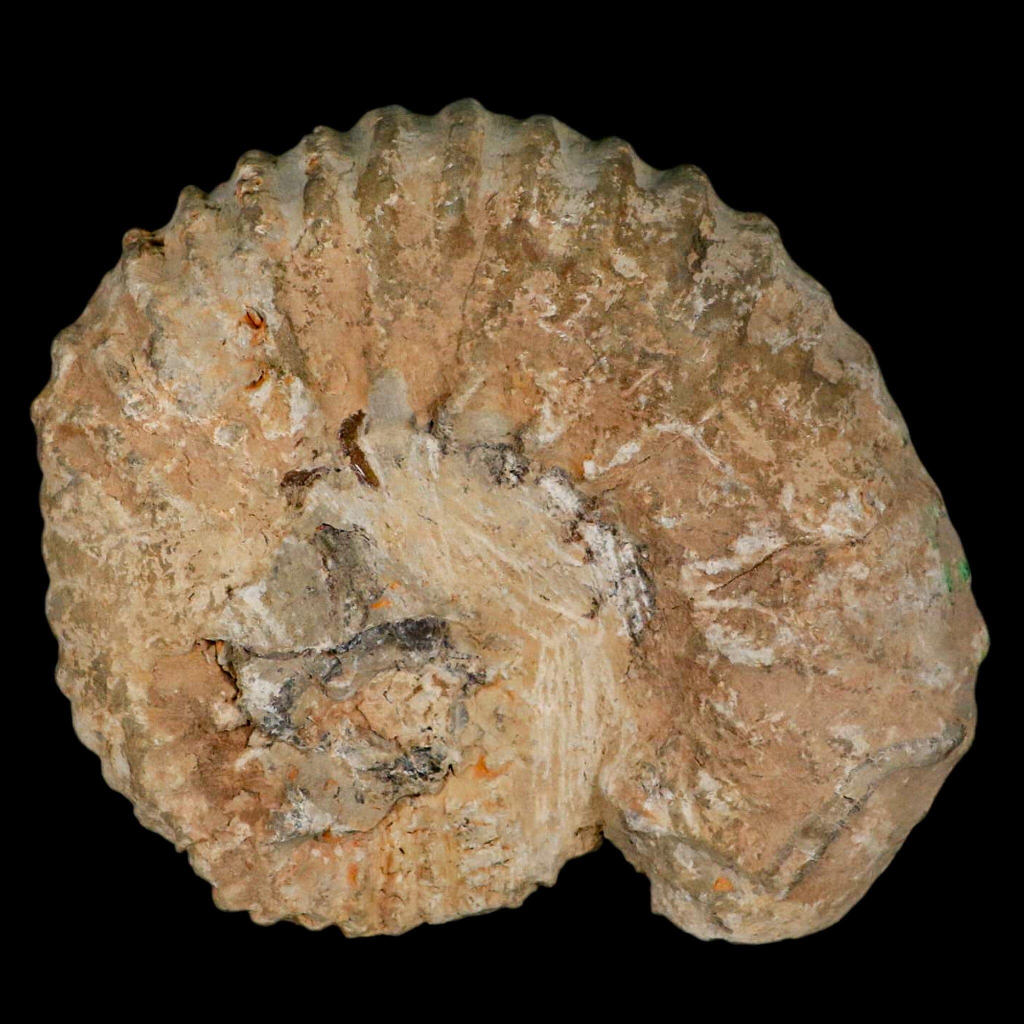 5.2