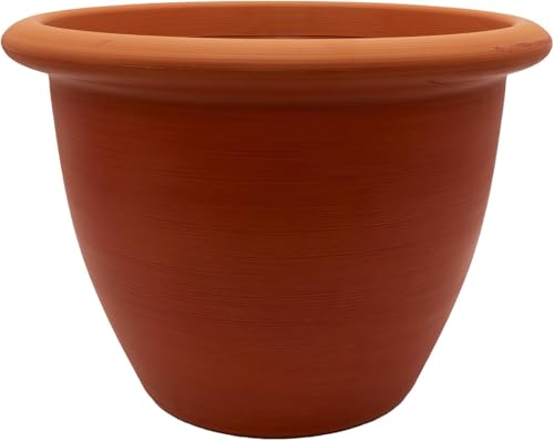 Terra Cotta