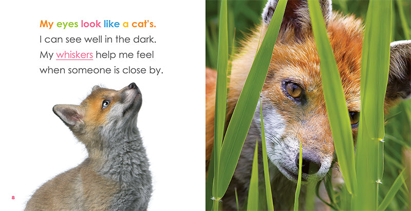 Baby Foxes Book 978-1-64026-246-1 - Adorable Fox Cubs Story for Kids, Perfect for Bedtime Reading & Early Learning