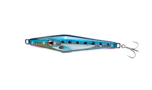 Sardine