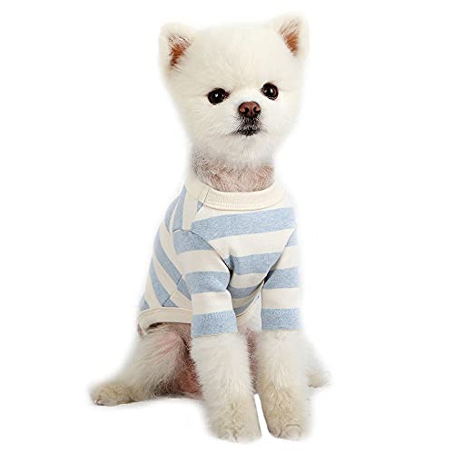 Ivory/Blue