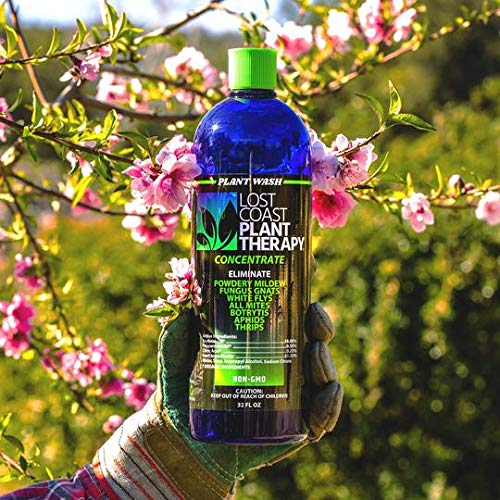 Lost Coast Plant Therapy Concentrate - 32 fl oz Organic Plant Wash for Indoor & Outdoor Plants | Natural Pesticide for Aphids, Spider Mites & Powdery Mildew | Safe for Vegetables, Fruits & Flowers | Great for Hydroponics & Gardening