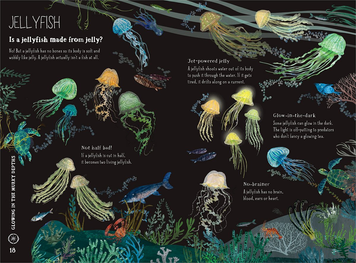 The Big Book of the Blue by Yuval Zommer - Ocean Wildlife Encyclopedia for Kids | Perfect for Homeschooling & Marine Biology Learning