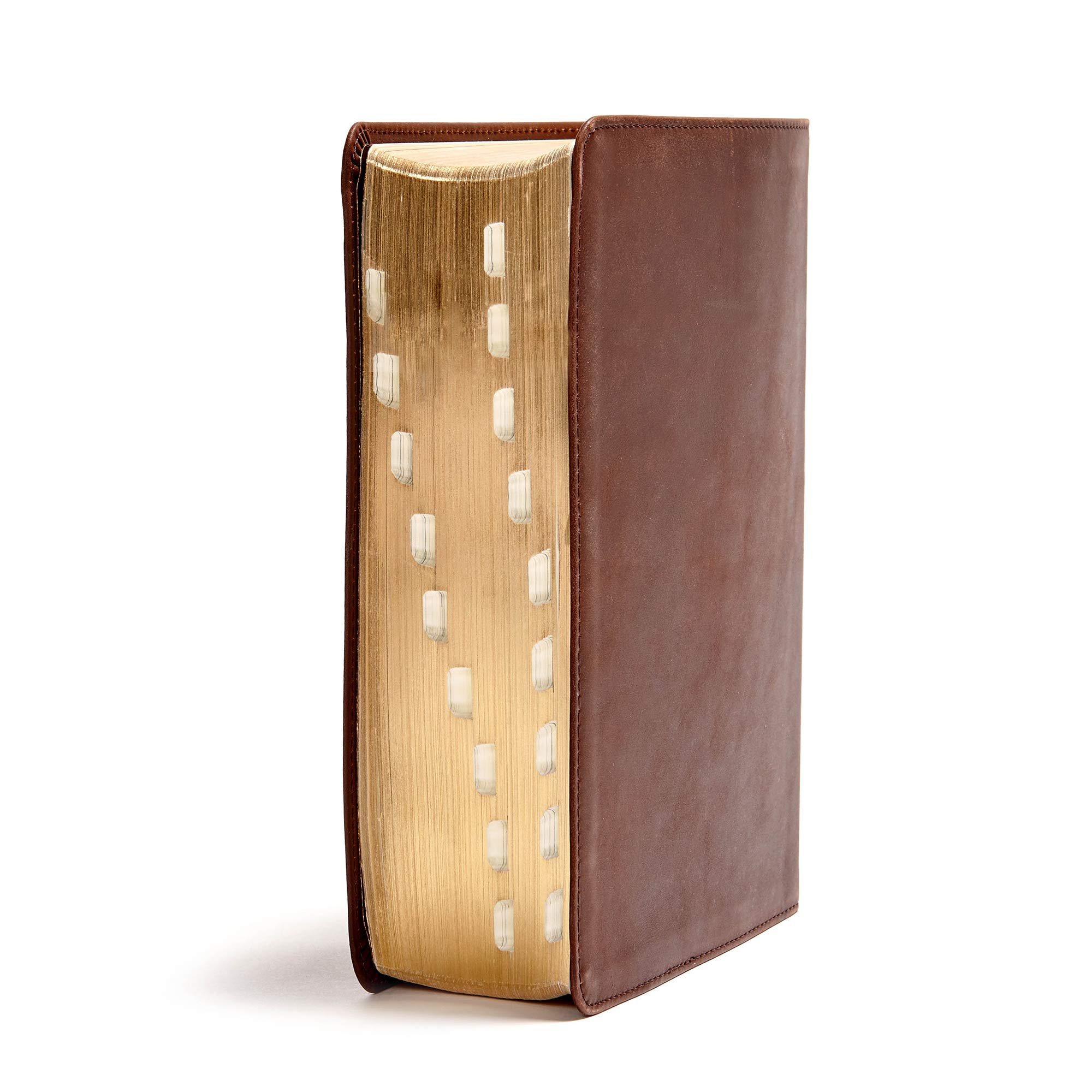 He Reads Truth Bible - Genuine Leather Brown Indexed Edition with Wide Margins & Journaling Space | Black Letter Text, Illustrations, Reading Plans | Single-Column Easy-to-Read Serif Type | Perfect for Bible Study, Devotional Reading & Gift Giving