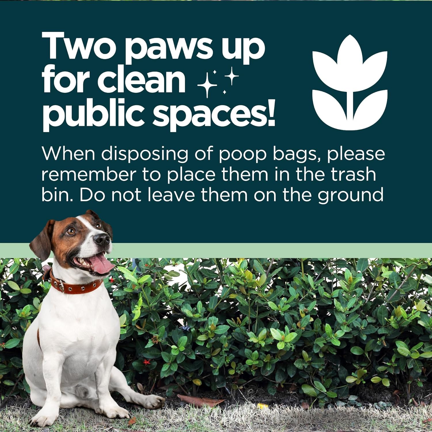 The Original Poop Bags® - 38% Plant-Based USDA Certified Dog Waste Bags | Unscented, Leak-Proof & Durable Poop Bags for Dogs (960 Count) | Perfect for Daily Walks, Park Visits & Pet Cleanup