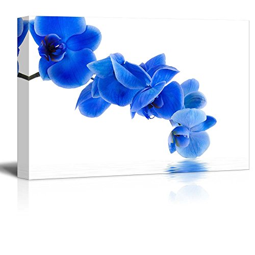 64. Blue Orchid Blooms-2