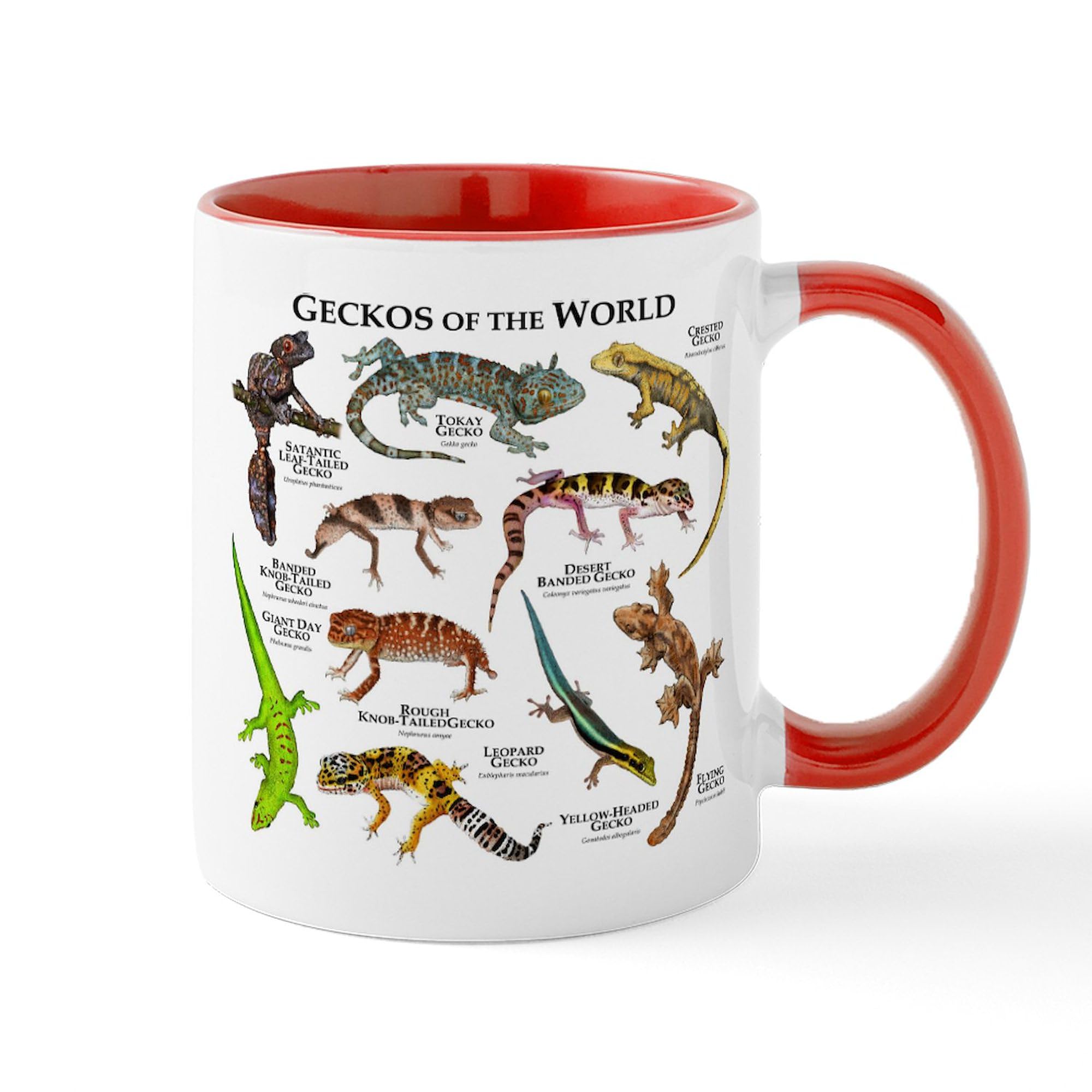 Geckos Of The World 11 oz Ceramic Coffee Mug (325ml) - Funny Lizard Design for Tea & Hot Drinks - Perfect Gift for Reptile Lovers & Office Use