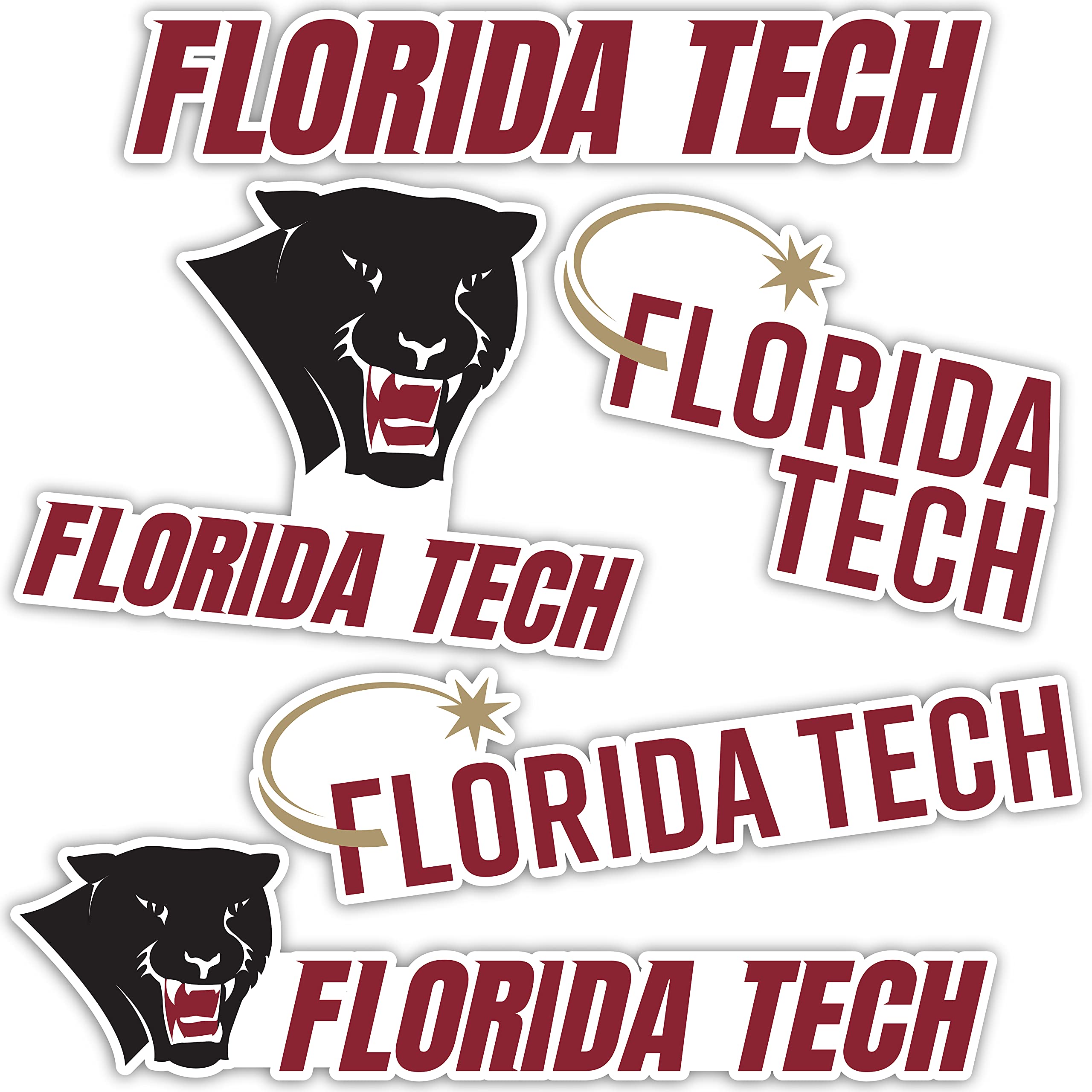 Florida Tech Panthers Vinyl Decal Sticker - Desert Cactus Design for Laptop, Water Bottle, Car & Scrapbook - FIT University Spirit Gear | Perfect for College Students, Alumni & Fans