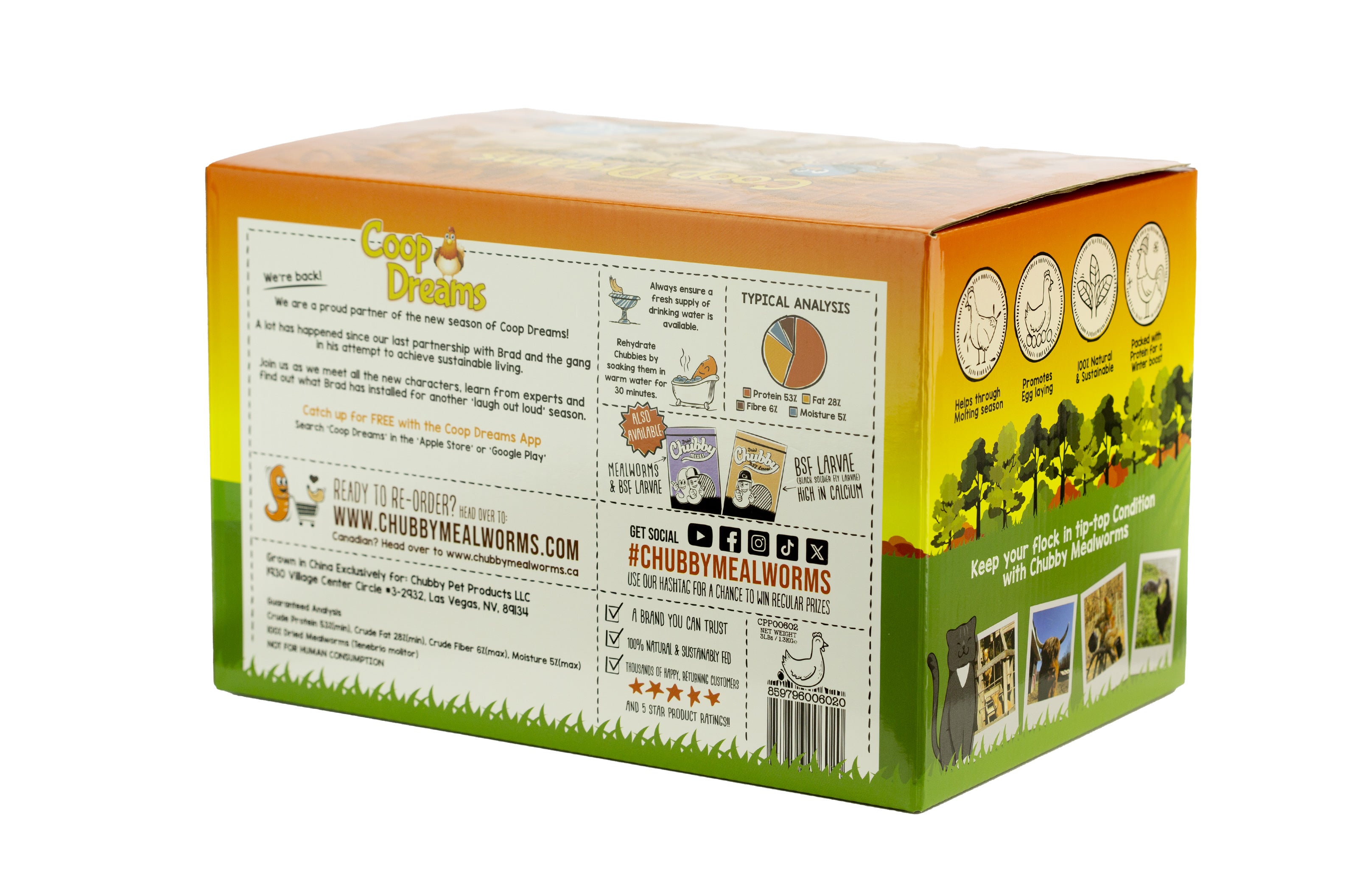 4x 3Lb (12lbs) Chubby Dried Mealworms for Chickens - High Protein Bird & Reptile Food - Coop Dreams Limited Edition Boxes - Perfect for Poultry Treats & Wild Bird Feeding