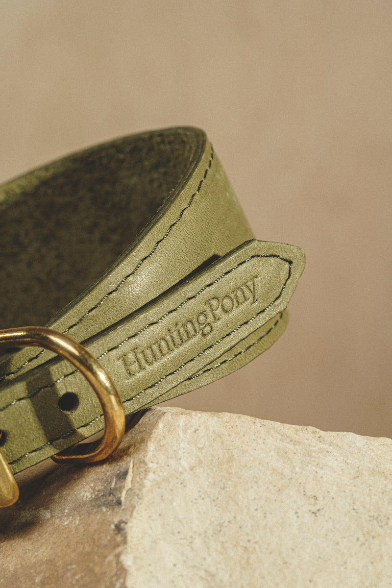 Premium Dog Collar - Herring Green Color, Adjustable & Durable Pet Collar for Small Medium Large Dogs - Perfect for Walks, Training & Outdoor Adventures