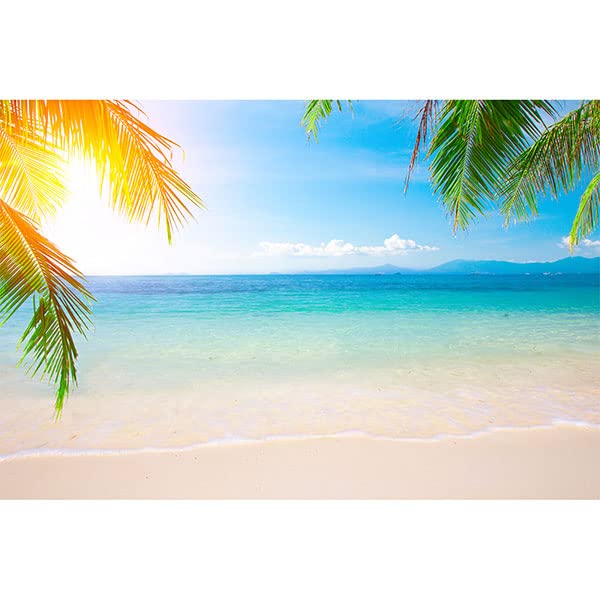 Beach Sand_02