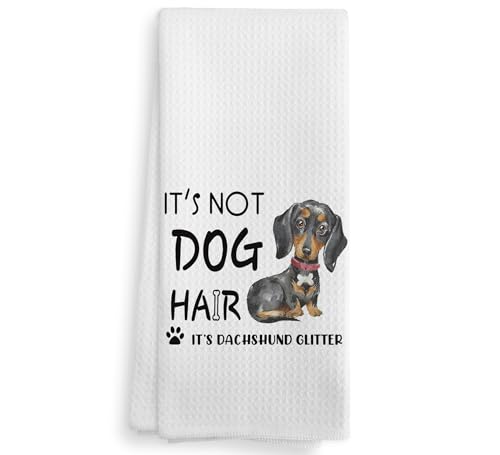 Dachshund-4