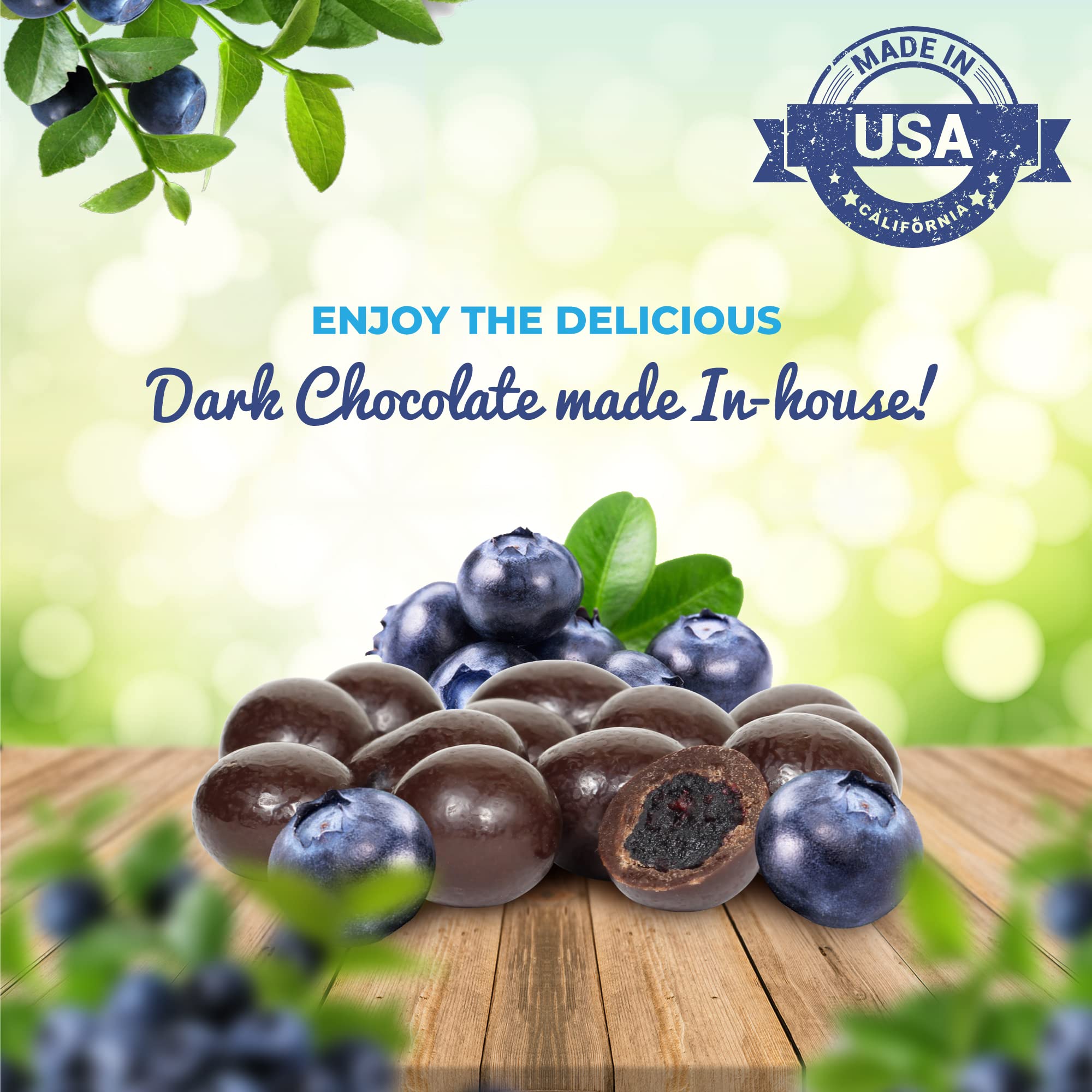 Gourmet Dark Chocolate Covered Blueberries by It’s Delish – 10 LBS Bulk Pack | Vegan & Kosher Snack with Real Dried Blueberries | Perfect for Parties, Gifts & Healthy Desserts