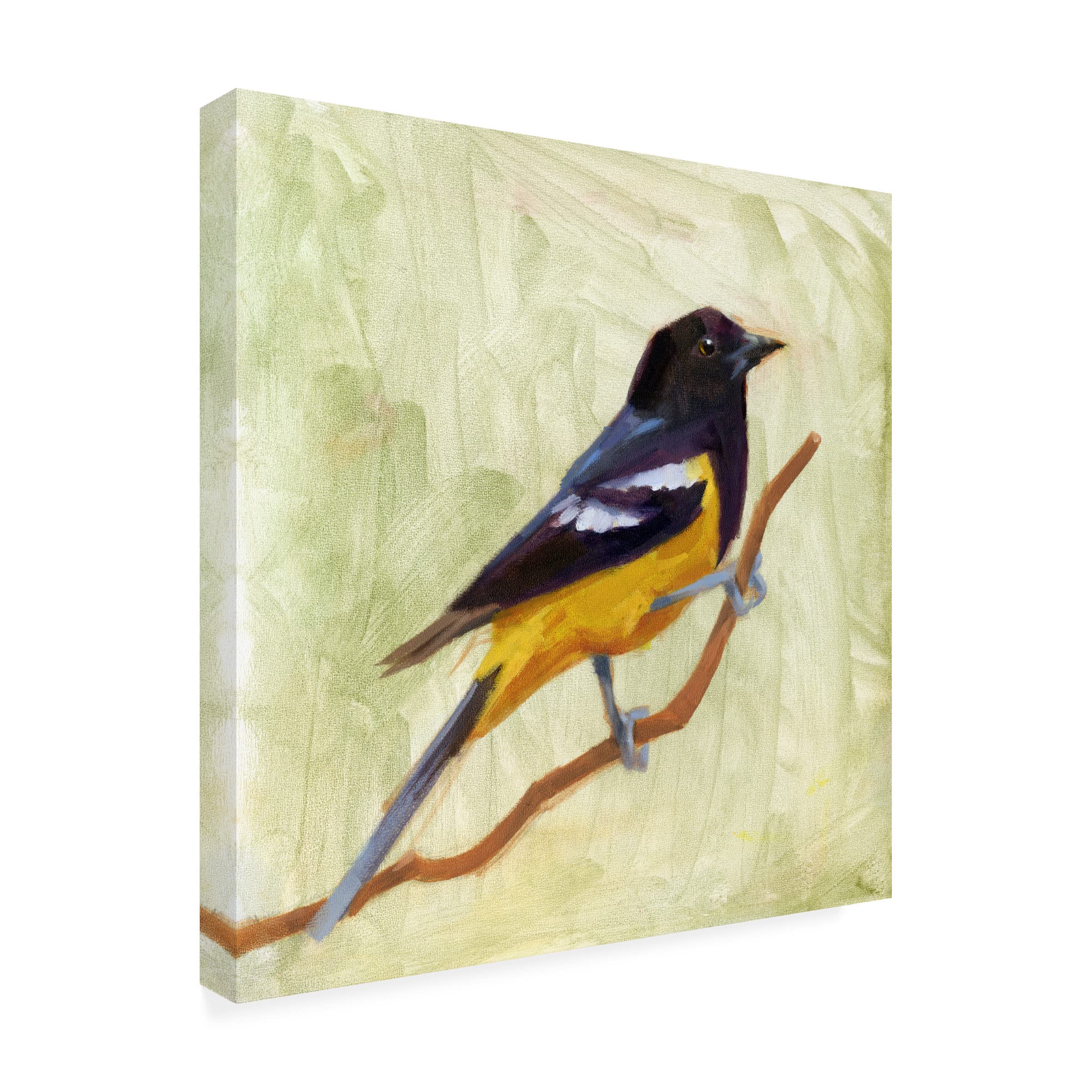 Jacob Green 'Backyard Birds I' Canvas Wall Art Print - Handmade Nature Inspired Home Decor for Living Room, Bedroom & Office
