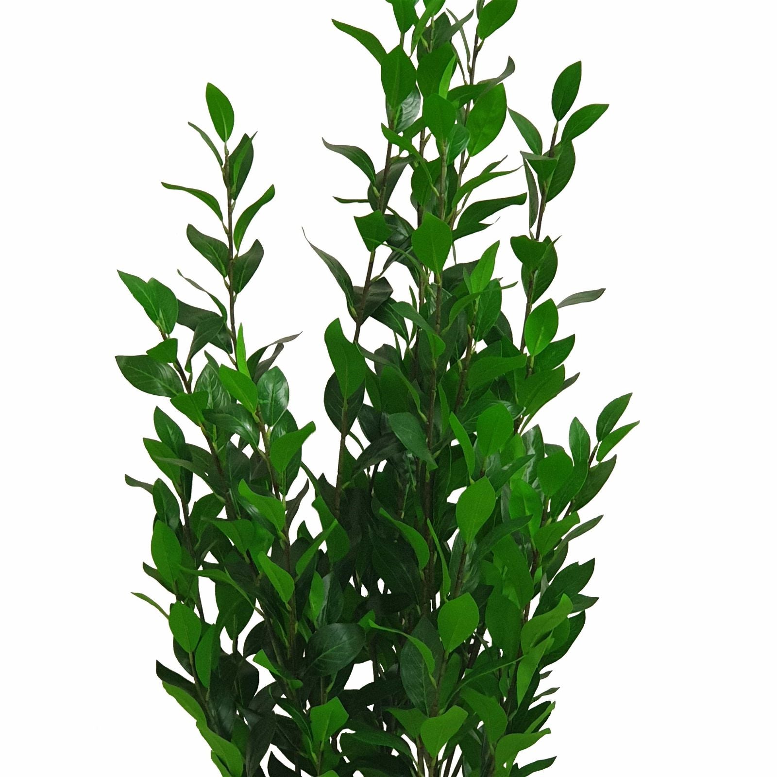 140cm Artificial Olive Tree by Criterion - Realistic Faux Potted Plant for Home Decor, Office, Living Room & Indoor Greenery