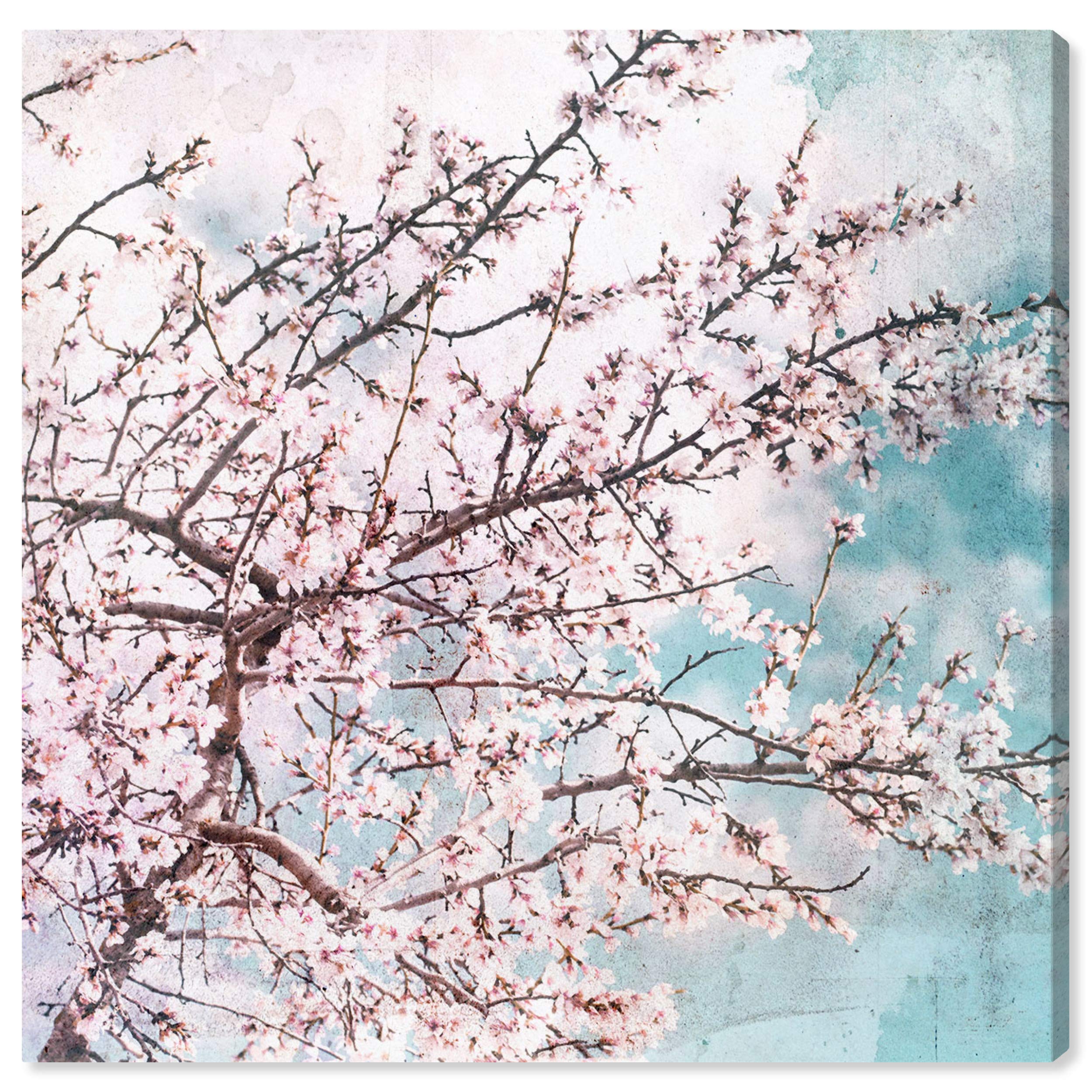Oliver Gal Artist Co. 'Blossoming in The Air' Pink & Blue Botanical Wall Art Canvas Print - 20x20 Inches Modern Home Decor for Living Room, Bedroom & Office