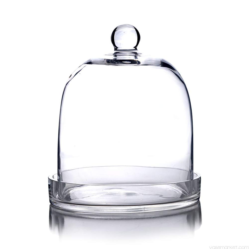 Glass Cloche Bell Jar Dome with Tray, 11