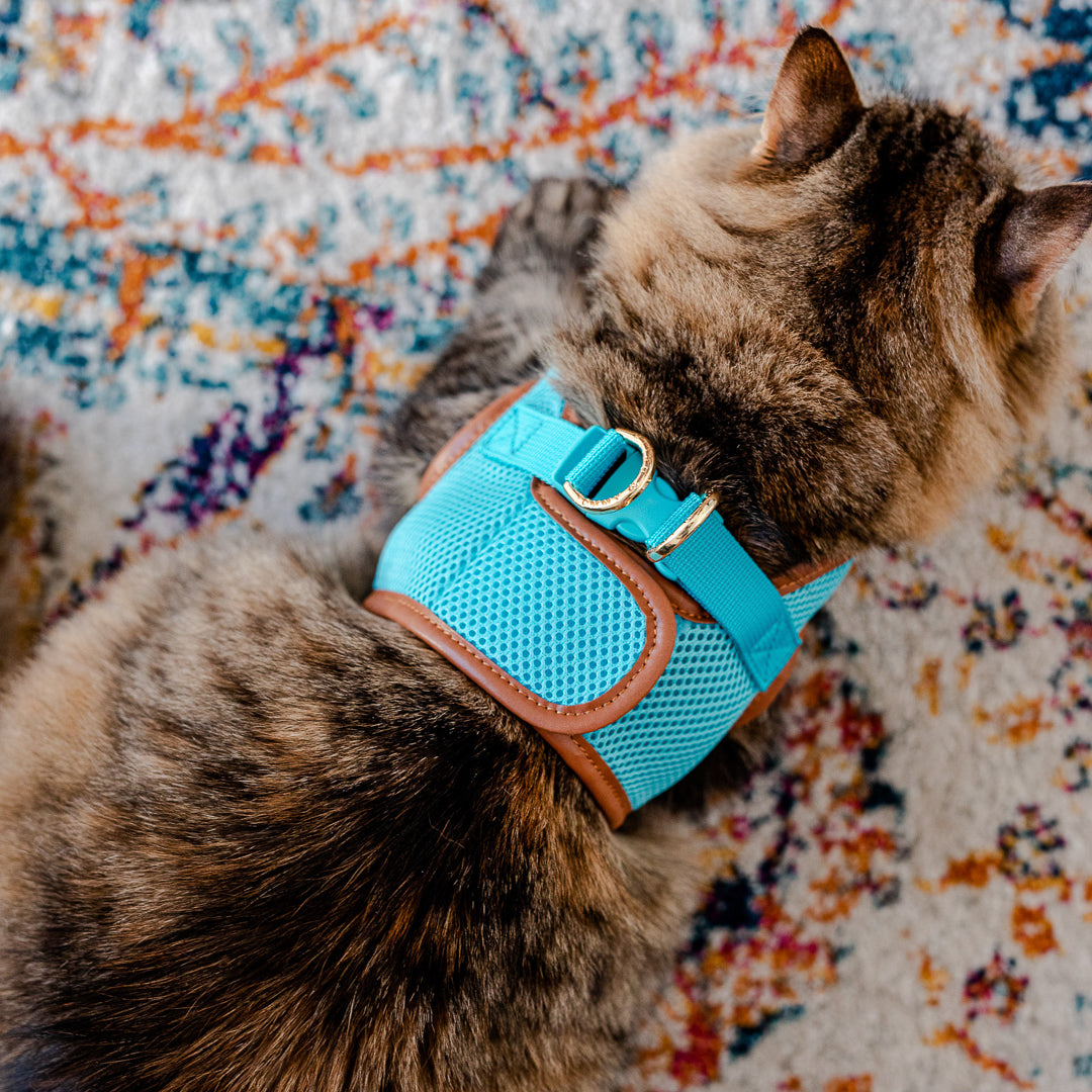 Sky Blue Cat Harness with Tan Trim - Adjustable & Escape-Proof Pet Vest for Safe Outdoor Adventures - Perfect for Walking, Hiking & Travel