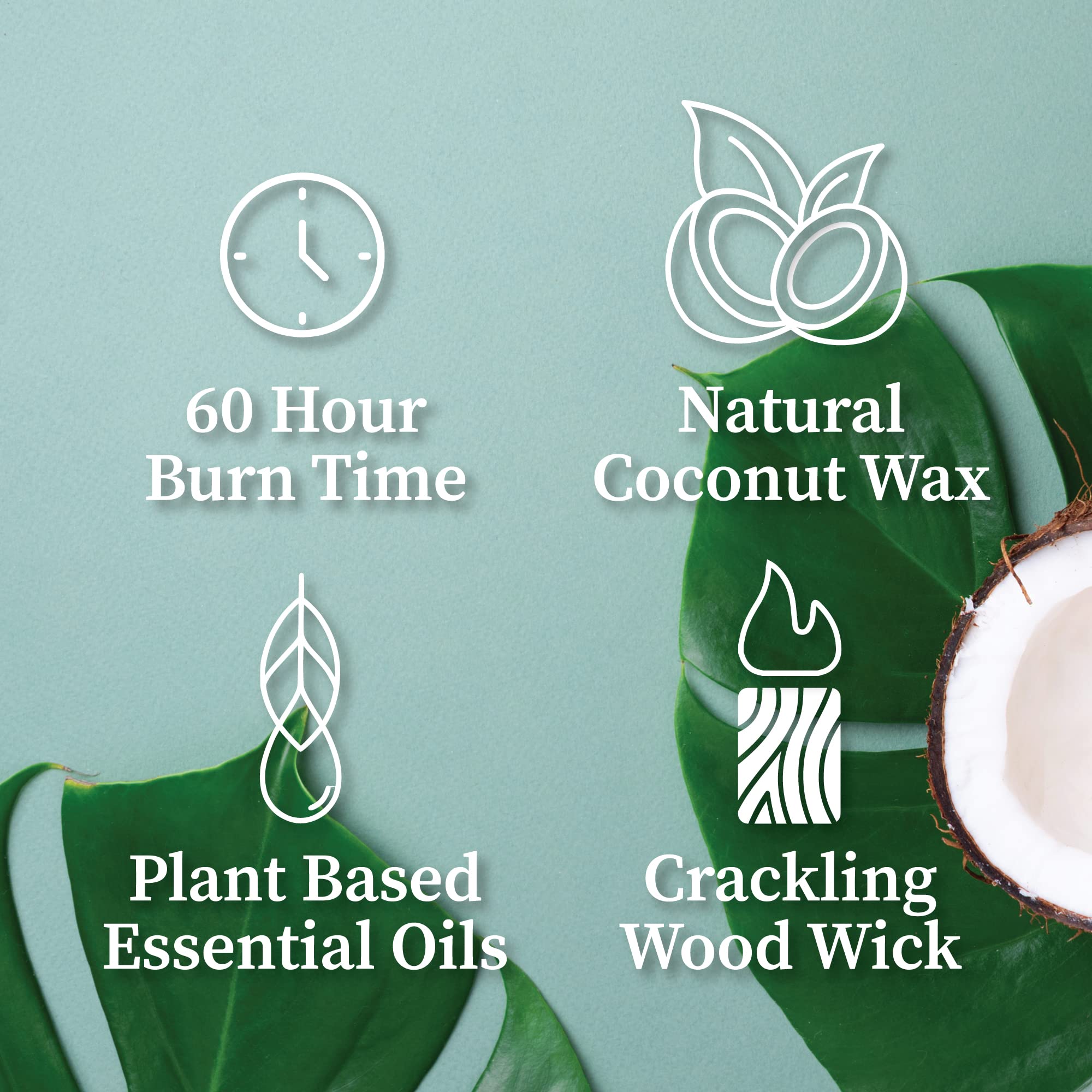 Premium Handcrafted Crackling Wood Wick Candle - Natural Coconut Wax, Oud Forest Scent (8 oz) - Perfect for Relaxation, Meditation & Home Aromatherapy